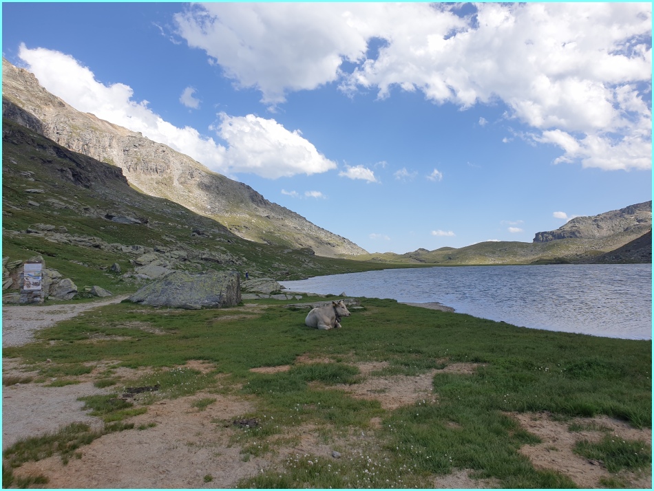 Anstieg Col Clapier.jpg